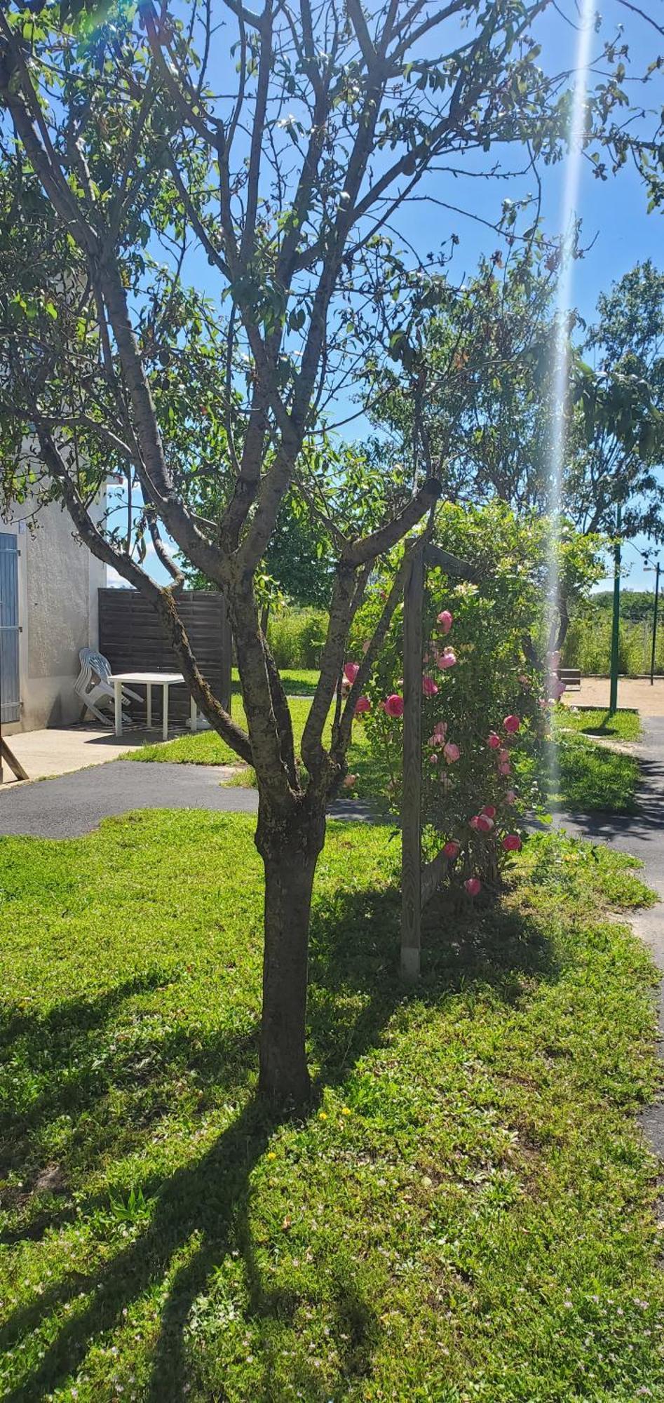 Le Canal Climatisation Wi-Fi Parking Jardin Piscine 15 Mn De Beziers Colombiers (Herault) Exterior foto